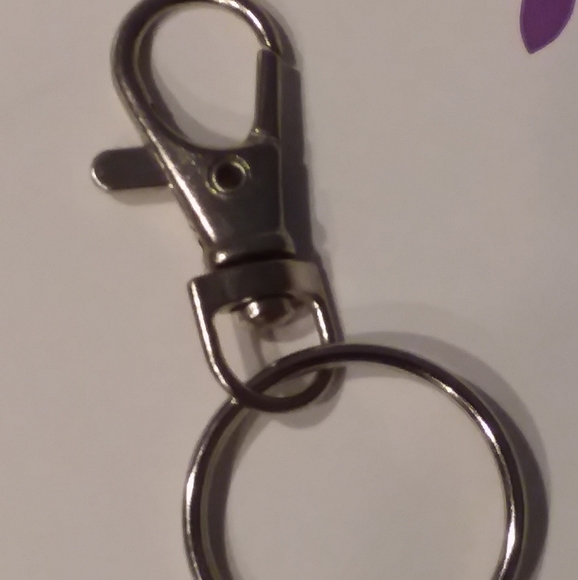 NFL Keychains & Magnets - Picture 6 of 6